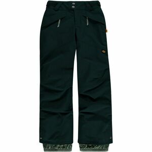 O'Neill PB ANVIL PANTS Pantaloni de schi/snowboard băieți, verde închis, mărime imagine