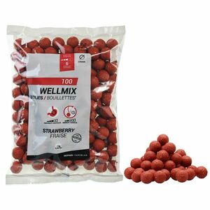 Boilies Pescuit la Crap Wellmix 20mm 1kg Căpșuni imagine