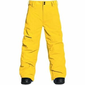 Horsefeathers REESE YOUTH PANTS Pantaloni de schi/snowboard băieți, galben, mărime imagine