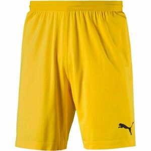 Puma FINAL evoKNIT GK Shorts Pantaloni scurți de portar bărbați, galben, mărime imagine