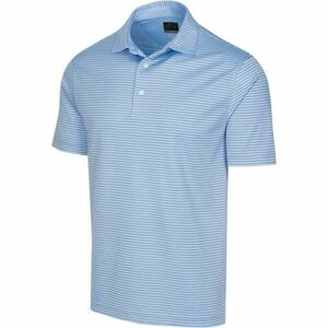GREGNORMAN PROTEK ML75 STRIPE POLO Tricoul polo pentru bărbați, albastru, mărime imagine