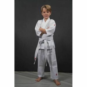 Budo Fightart karate kimono, pentru copii imagine