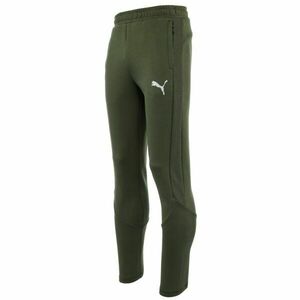Puma EVOSTRIPE PANTS DK Pantaloni de trening pentru bărbați, verde închis, mărime imagine