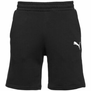 Puma TEAMGOAL 23 CASUALS SHORTS Pantaloni scurți de fotbal bărbați, negru, mărime imagine