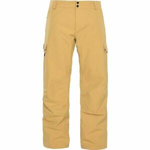 ARMADA CORWIN Pantaloni de schi bărbați, galben, mărime imagine