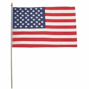 Steagul USA 45cm x 30cm mic imagine