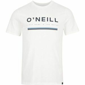 O'Neill ARROWHEAD T-SHIRT Tricou bărbați, alb, mărime imagine