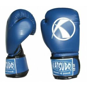 Katsudo mănuşi box Punch, albastre imagine