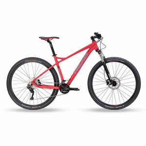 Head X-RUBI II 29" Bicicletă de munte bărbați, roșu, mărime imagine