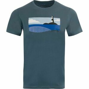 ALPINE PRO NERAW Tricou pentru bărbați, albastru, mărime imagine