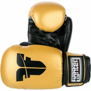 Fighter BASIC Mănuși de box, auriu, mărime imagine