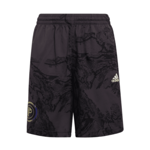 adidas Pantaloni de fotbal băieți Pantaloni de fotbal băieți, negru imagine