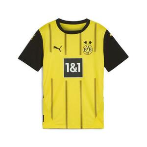 Tricou Fotbal Teren propriu Borussia Dortmund 24/25 Copii imagine