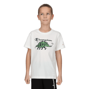 BOYS DINO T-SHIRT imagine