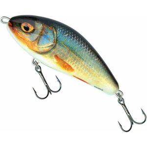 Vobler Salmo Fatso Floating F10F, culoare RR, 10cm, 48g imagine