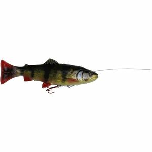 Shad Savage Gear 4D Line Thru Pulse Tail Roach, Perch, 16cm, 51g imagine