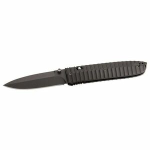 Lionsteel Cuțit de buzunar cu lamă din oțel D2 8701 AL imagine