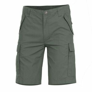 Pentagon pantaloni scurți pentru bărbați M65 2.0, Camo green imagine