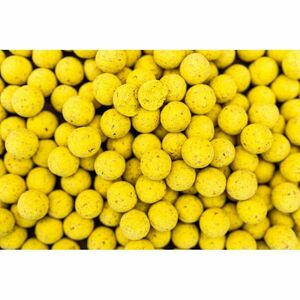 Boilies Pro Line Scopex N'Butyric, 5kg (Marime: 20 mm) imagine