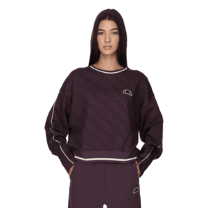 ELLESSE LADIES HOODY imagine