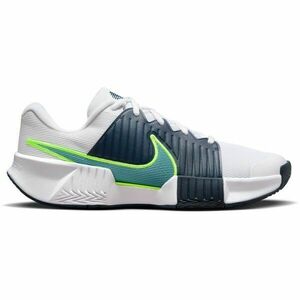 Nike GP CHALLENGE PRO Încălțăminte de tenis bărbați, alb, mărime 43 imagine