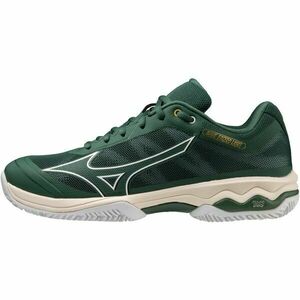 Mizuno WAVE EXCEED LIGHT CC Încălțăminte de tenis bărbați, verde, mărime 44 imagine