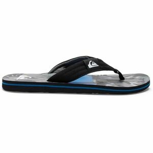 Quiksilver MOLOKAI LAYBACK II Șlapi de bărbați, negru, mărime 41 imagine