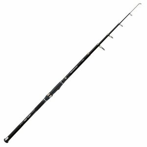 Lanseta Carp Expert Advancer Tele, 40-80g (Lungime lanseta: 3.60m) imagine