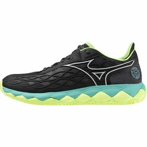 Mizuno WAVE ENFORCE TOUR CC Pantofi de tenis pentru bărbați, negru, mărime 45 imagine