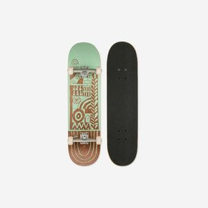 Skateboard, Longboard si Cruiser, Longboard, Cruiser, Cruiser imagine