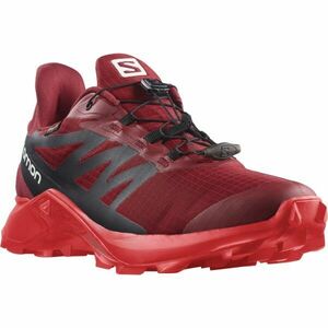 Salomon SUPERCROSS 3 GTX Încălțăminte de trail bărbați, vișiniu, mărime 46 imagine