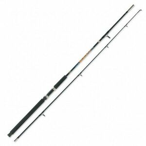 Lanseta Mustang Catfish 2.70m / 2buc / 100-250g Lineaeffe imagine