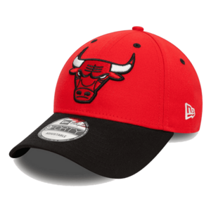 CHICAGO BULLS FDRBLK imagine