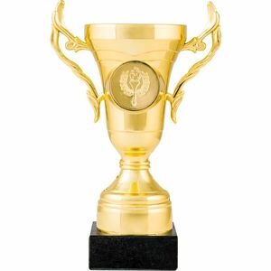 Fotbal, Cupe, medalii, trofee imagine