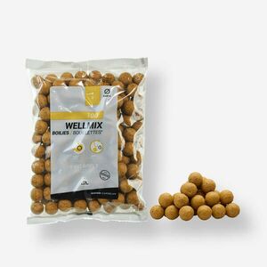 Boilies Pescuit la Crap Wellmix 20 mm 1kg Ananas imagine