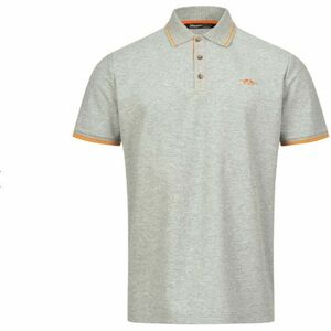 Tricou Blaser Polo 22 Grey (Marime: M) imagine