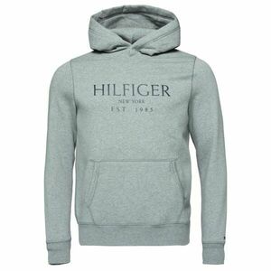 Tommy Hilfiger BIG HILFIGER HOODY Hanorac bărbați, gri, mărime imagine