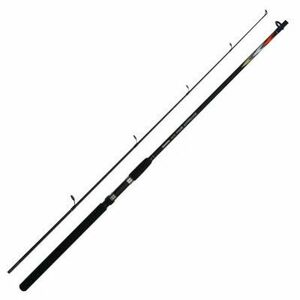 Lanseta Carp Zoom Predator-Z Entrant Spin, 2 tronsoane (Lungime lanseta: 3 m) imagine