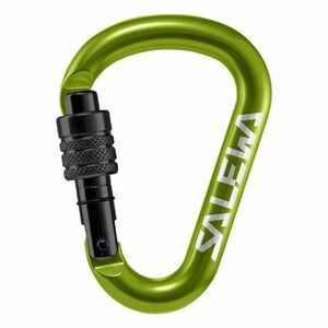 Salewa Carabiner HMS G2 mic, verde imagine