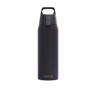 SIGG Bottle Therm One 0, 75 L Nocturne imagine