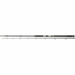 Lanseta Exceler Catfish Spin 2, 40M/-185G / 2 tronsoane Daiwa imagine