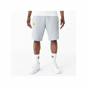 NBA MESH PANEL OS SHORTS imagine