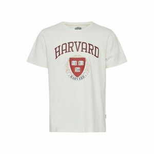 Harvard imagine