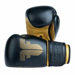 Fighter AMATEUR 10 OZ Mănuși de box, negru, mărime imagine