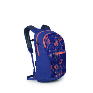 OSPREY City Rucsac DAYLITE PLUS 20, imprimare flori sălbatice/alcalin imagine