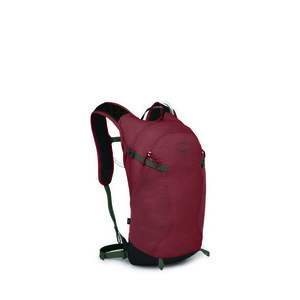 OSPREY rucsac pentru drumeții SPORTLITE 15, acorn/bonsai imagine