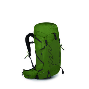 OSPREY rucsac pentru drumeții TALON 33, green belt/black imagine