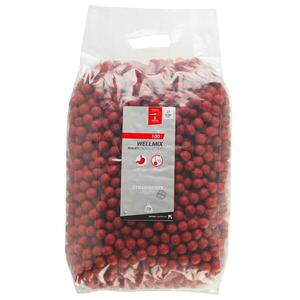 Boilies Wellmix 20mm 10kg Căpșuni Pescuit la Crap imagine