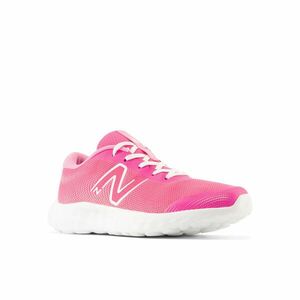 Încălțăminte Educație fizică NEW BALANCE 520 V8 Roz Copii imagine