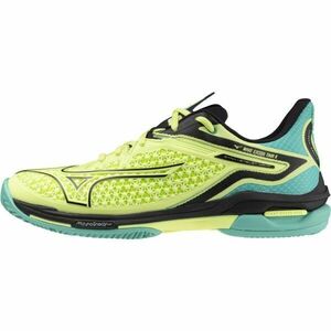 Mizuno WAVE EXCEED TOUR 6 CC Încălțăminte de tenis bărbați, galben, mărime 42 imagine